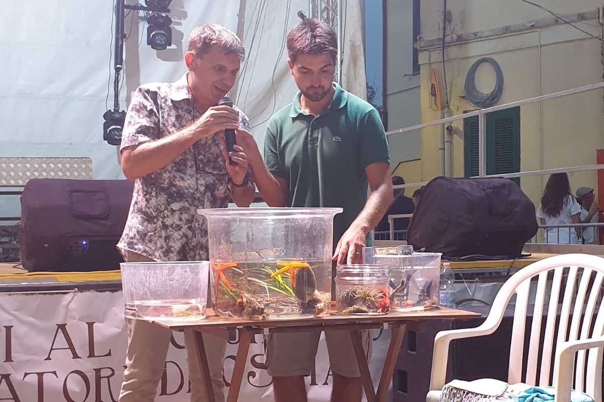 La mia Ostia alla Sagra della Tellina 2019. Ostia, la luna e il mare